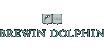 Brewin Dolphin