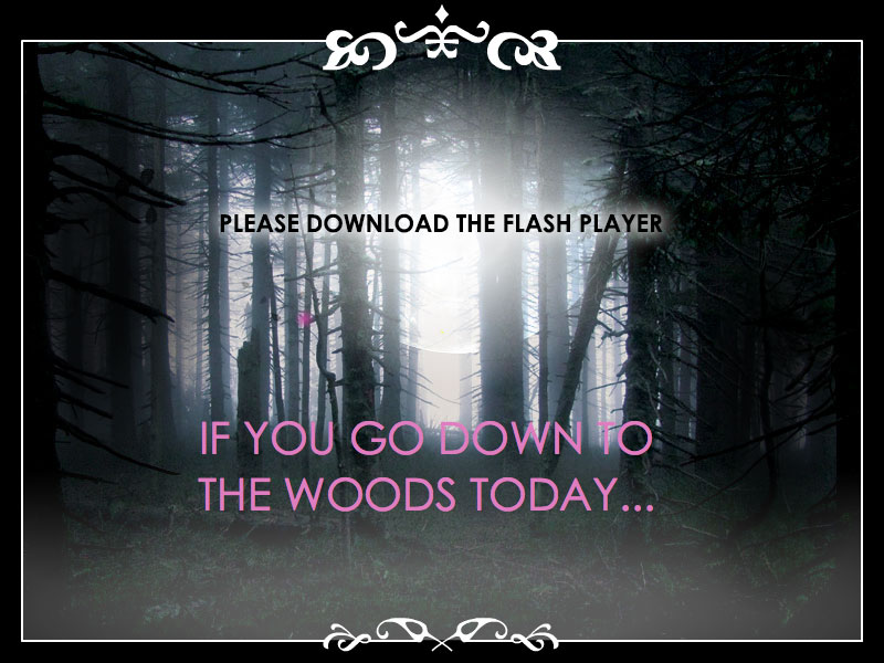Please download the Flash player