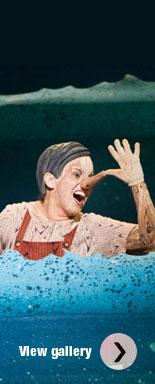 The Adventures of Pinocchio: view photo gallery